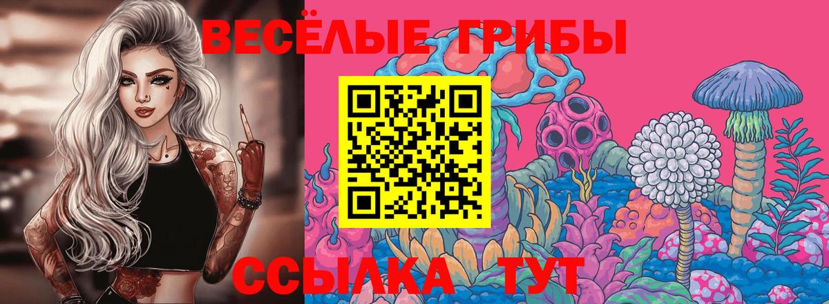 Псилоцибиновые грибы прущие грибы Брянск