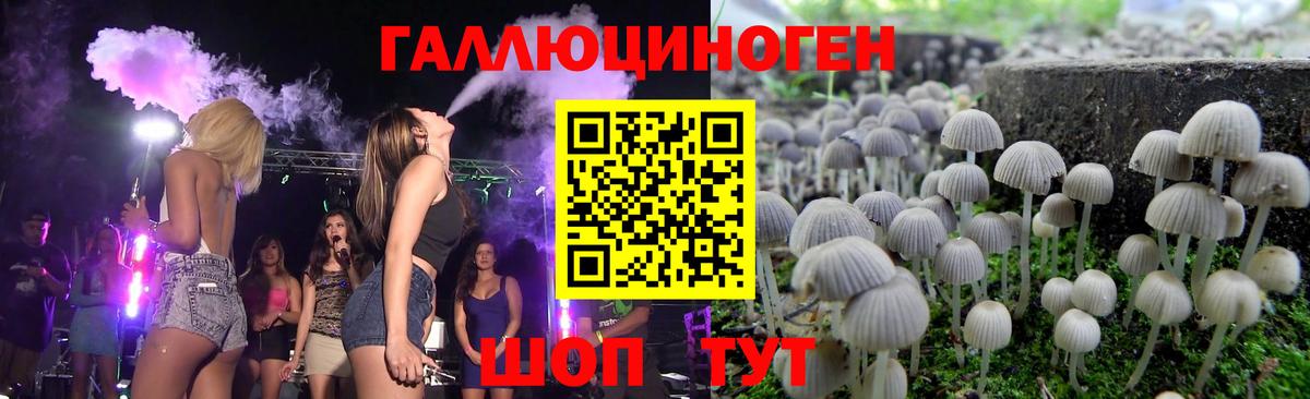 Псилоцибиновые грибы Psilocybe  Вход с VPN  Брянск 
